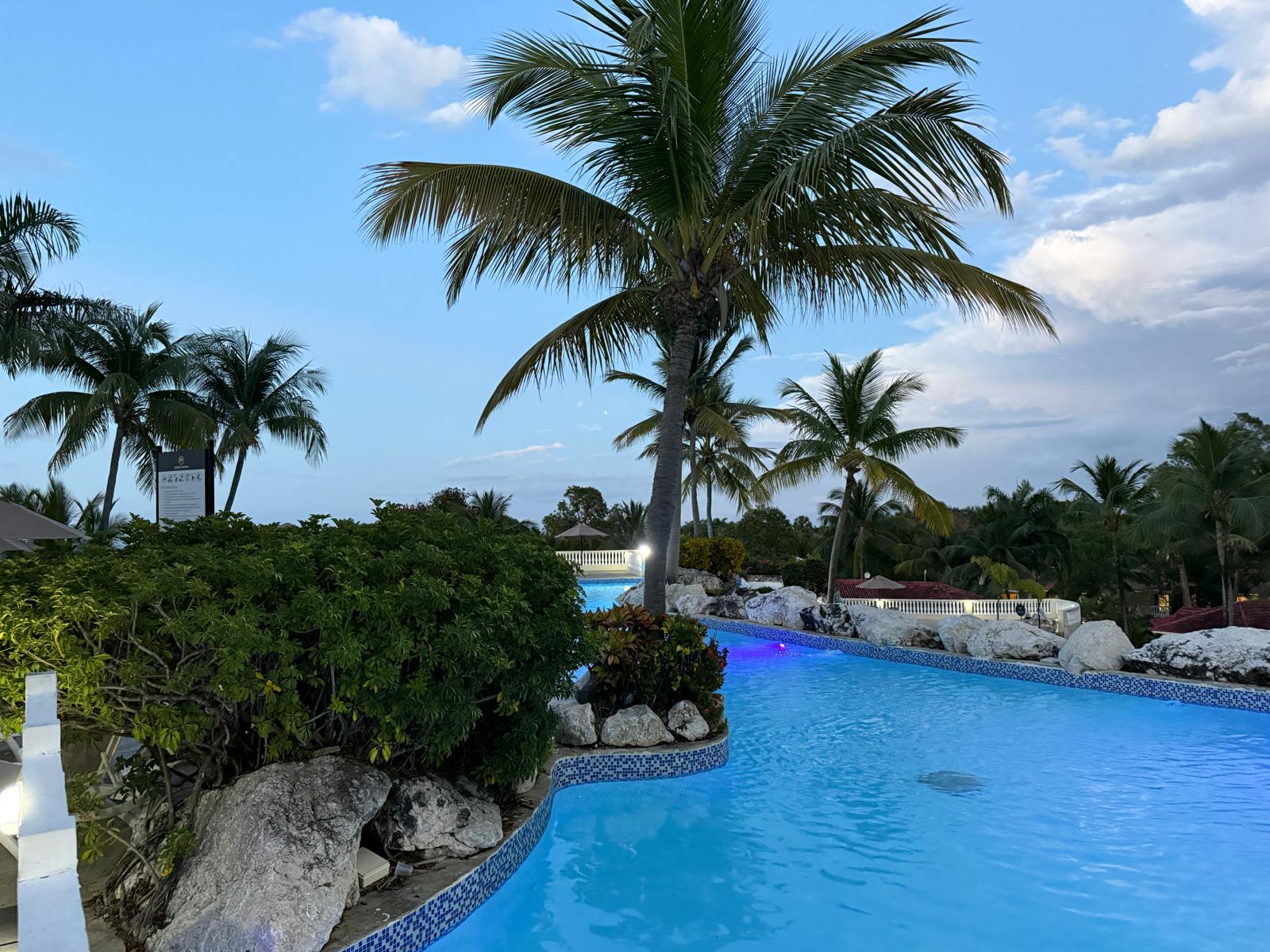 Curved resort swimming pool at dusk with palm trees, rocks, and tropical greenery.