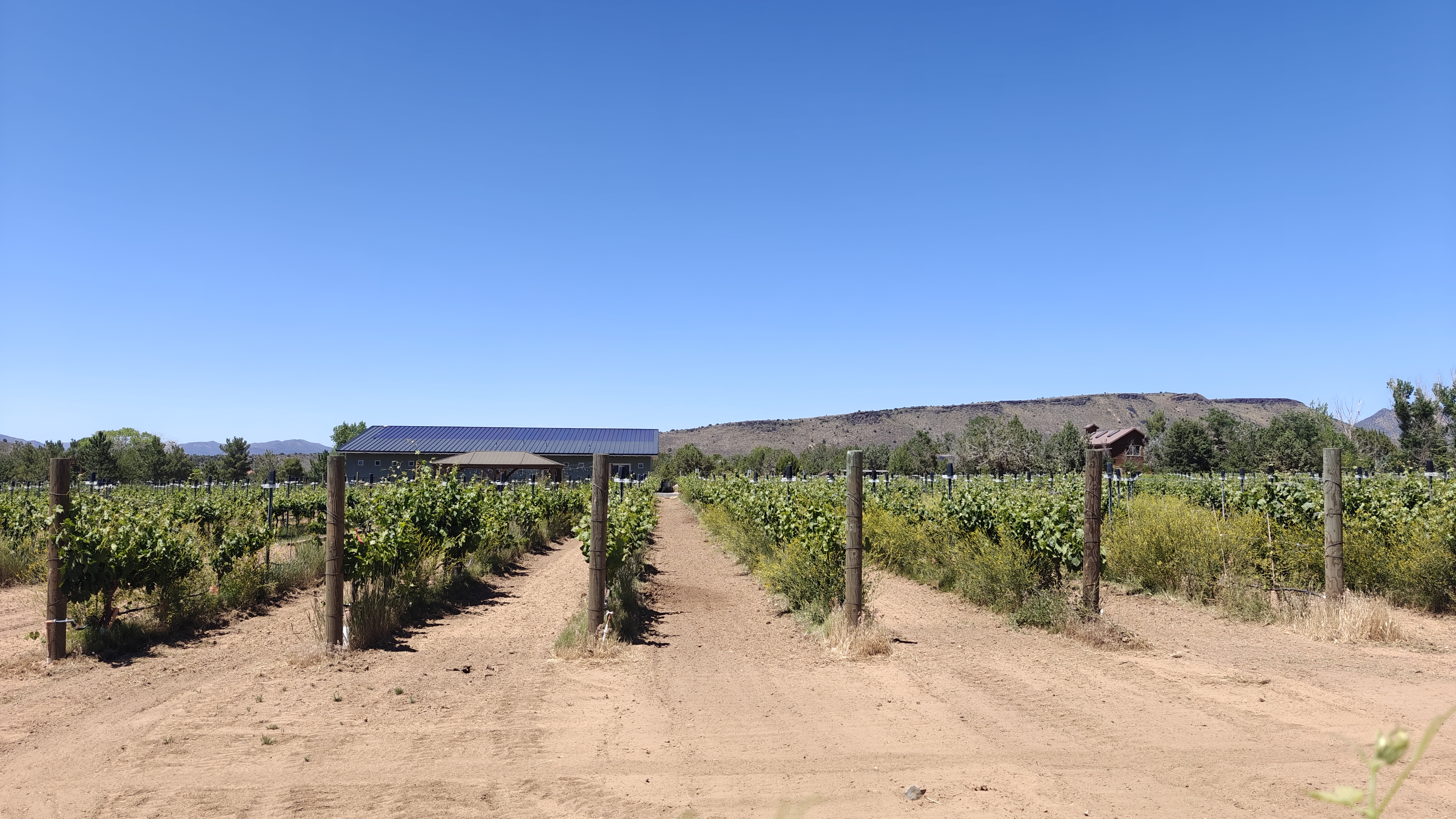 Utah Wine Trail: Discovering an Unexpected Wine Region in the Desert